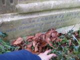 image of grave number 504885